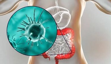 Parazitler için hangi testler almalı