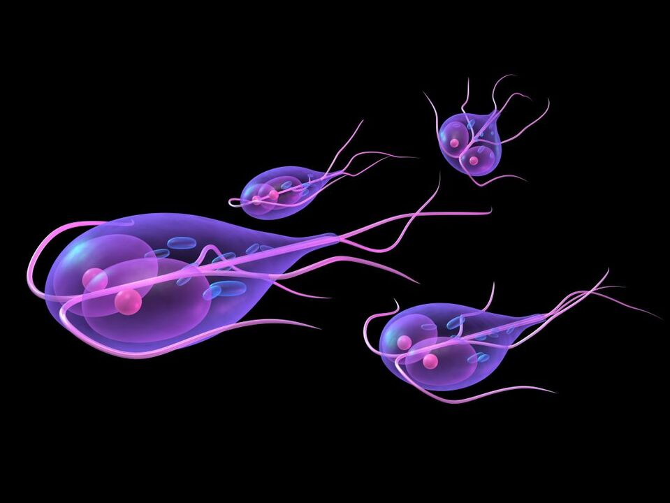 İnsan vücudundan Giardia