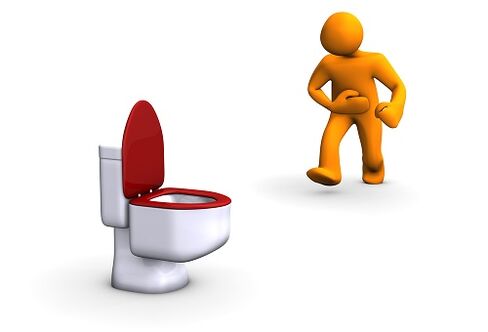 Parazit testinin bir göstergesi olarak dışkı sorunları